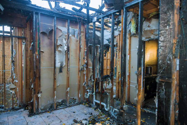 Professional Fire Damage Repair technician working in Glendale, AZ